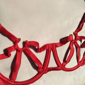 Studio Pia Clea Cage Bra in Red Silk